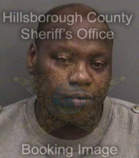 Berrien Michael - Hillsborough County, Florida 