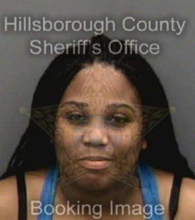 Chavis Shanteka - Hillsborough County, Florida 