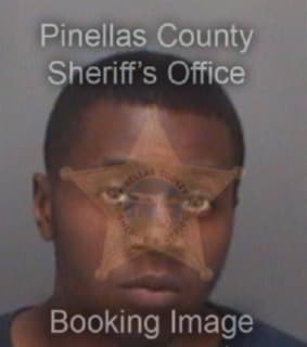 Curry Terry - Pinellas County, Florida 