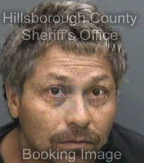 Lopez Armando - Hillsborough County, Florida 