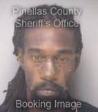 Wiggins Joshua - Pinellas County, Florida 