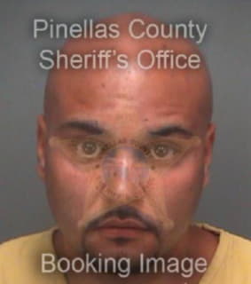 Miguel Nicholas - Pinellas County, Florida 