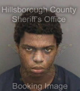 Mayweather Dawayne - Hillsborough County, Florida 