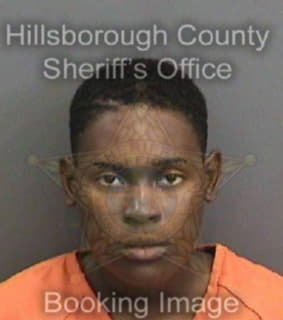 Johnson Franchon - Hillsborough County, Florida 