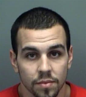 Delrio Justin - Pinellas County, Florida 