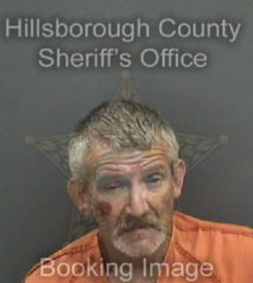 Blosser Michael - Hillsborough County, Florida 