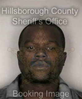 Williams Perry - Hillsborough County, Florida 