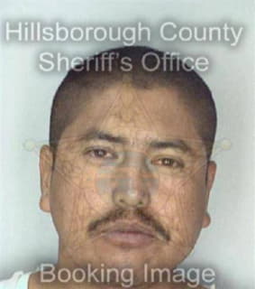 Arevalo Juan - Hillsborough County, Florida 