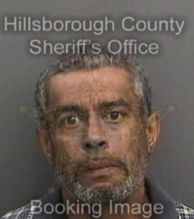 Arce William - Hillsborough County, Florida 