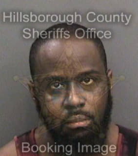 Mclaurin James - Hillsborough County, Florida 