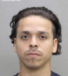 Cerda Luis - Broward County, Florida 