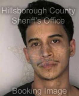 Perez Raymond - Hillsborough County, Florida 