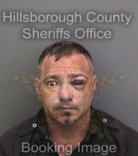 Medeiros Ryan - Hillsborough County, Florida 