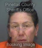 Brunkel Tracy - Pinellas County, Florida 