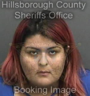 Ruiz Cecilia - Hillsborough County, Florida 