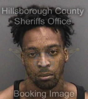 Anderson Delton - Hillsborough County, Florida 