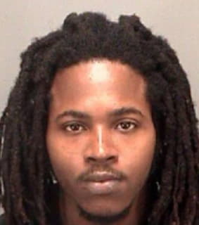 Mcaffee Joshua - Pinellas County, Florida 