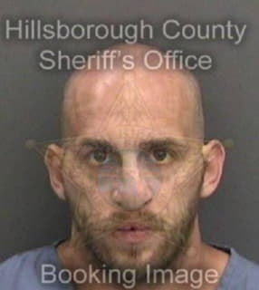 Reichelderfer Stephen - Hillsborough County, Florida 