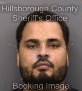 Negron Victor - Hillsborough County, Florida 