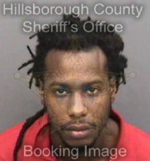 Anderson Alphonso - Hillsborough County, Florida 