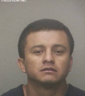 Dominguezquintana Angelino - Broward County, Florida 