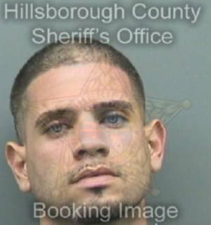 Diaz Eduardo - Hillsborough County, Florida 