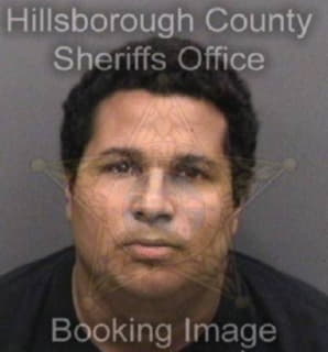 Rodriguezmontanez Luis - Hillsborough County, Florida 