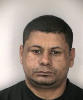 Lopez Martin - Hillsborough County, Florida 