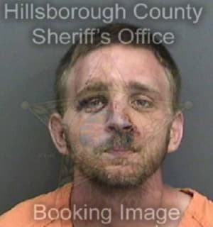 Langford William - Hillsborough County, Florida 