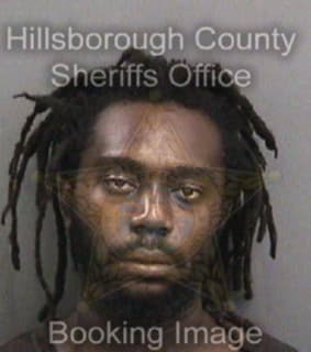 Nelson Dashawn - Hillsborough County, Florida 