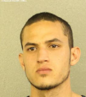 Trujillo Irving - Broward County, Florida 