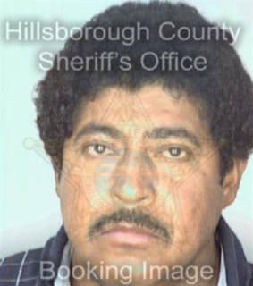 Mejia Arlos - Hillsborough County, Florida 