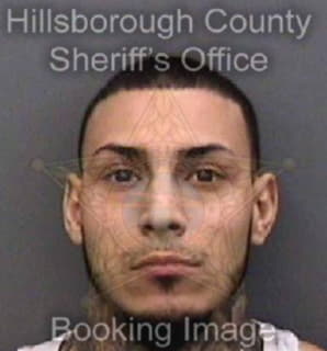 Martinez Carlos - Hillsborough County, Florida 