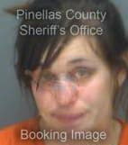 Hileman Heather - Pinellas County, Florida 