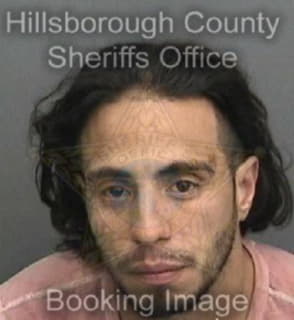 Cruz Ivan - Hillsborough County, Florida 