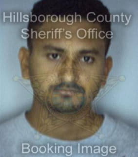 Diaz Nelson - Hillsborough County, Florida 