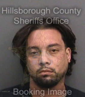 Mejias Sammuel - Hillsborough County, Florida 