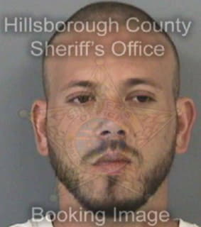 Alfonso Arloy - Hillsborough County, Florida 