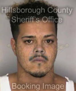 Arroyo Edwin - Hillsborough County, Florida 