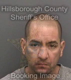 Leonmartinez Giordany - Hillsborough County, Florida 