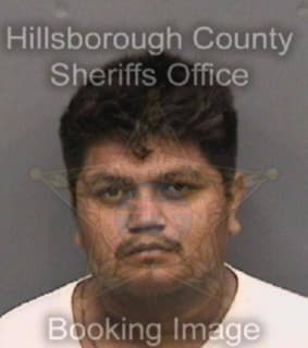 Vicentealdana Raul - Hillsborough County, Florida 