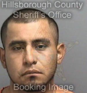 Perezmendez Gaspar - Hillsborough County, Florida 