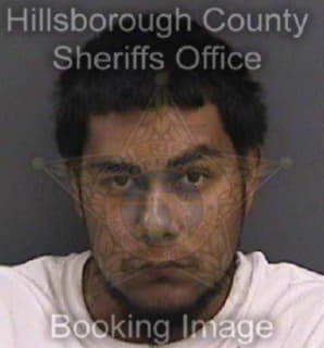 Robles Jose - Hillsborough County, Florida 