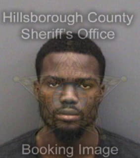 Legrand Josue - Hillsborough County, Florida 