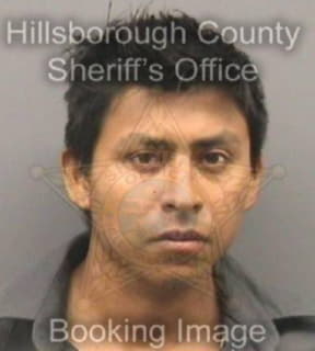 Ordonez Ramiro - Hillsborough County, Florida 