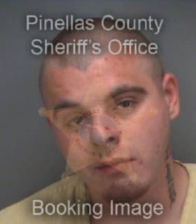 Bender Scott - Pinellas County, Florida 