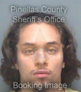 Outten Christopher - Pinellas County, Florida 