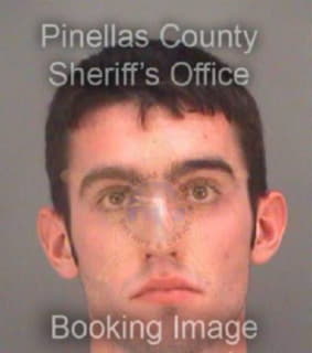 Courtney Daniel - Pinellas County, Florida 