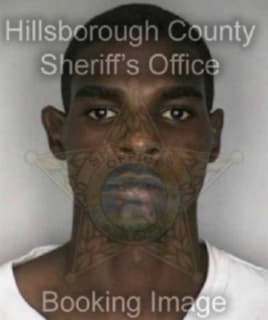 Williams Demetrius - Hillsborough County, Florida 