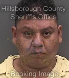 Dominguez Francis - Hillsborough County, Florida 